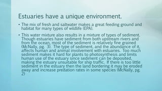 Estuaries have a unique environment.
• The mix of fresh and saltwater makes a great feeding ground and
habitat for many types of wildlife (EPA).
• This water mixture also results in a mixture of types of sediment.
Though estuaries have sediment from both upstream rivers and
from the ocean, most of the sediment is relatively fine grained
(McNally, pg. 3). The type of sediment, and the abundance of it,
affects human and animal involvement with estuaries. Too much
sediment makes it hard for plants to photosynthesis and limits
human use of the estuary since sediment can be deposited,
making the estuary unsuitable for ship traffic. If there is too little
sediment in the estuary then the land bordering it may be eroded
away and increase predation rates in some species (McNally, pg.
2)
 