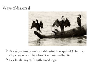 Environmental Barriers and Dispersal Mechanisms in Animal Distribution ...