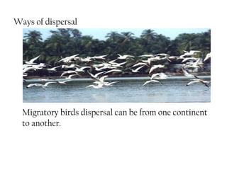 Environmental Barriers and Dispersal Mechanisms in Animal Distribution ...