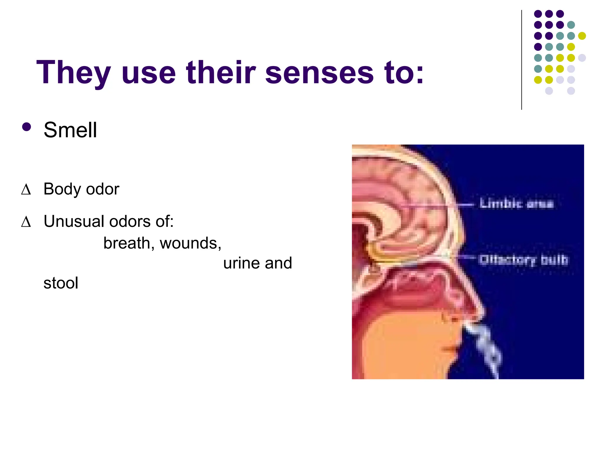 They use their senses to:
 Smell
∆ Body odor
∆ Unusual odors of:
breath, wounds,
urine and
stool
 