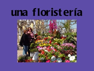 una floristería 