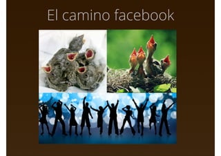 El camino facebook
 