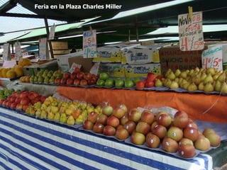 Feria en la Plaza Charles Miller
 