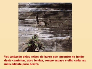 Vou andando pelos seixos do barro que encontro no fundo
deste caminhar, abro fendas, rompo espaço e olho cada vez
mais adiante para dentro.
 