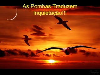 As Pombas Traduzem
Inquietação!!!
 