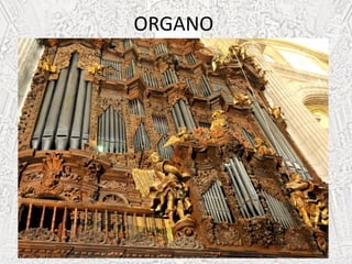 ORGANO
 