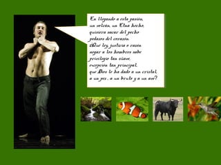 En llegando a esta pasión,
un volcán, un Etna hecho,
quisiera sacar del pecho
pedazos del corazón.
¿Qué ley, justicia o razón
negar a los hombres sabe
privilegio tan süave,
excepción tan principal,
que Dios le ha dado a un cristal,
a un pez , a un bruto y a un ave?
En llegando a esta pasión,
un volcán, un Etna hecho,
quisiera sacar del pecho
pedazos del corazón.
¿Qué ley, justicia o razón
negar a los hombres sabe
privilegio tan süave,
excepción tan principal,
que Dios le ha dado a un cristal,
a un pez , a un bruto y a un ave?
 