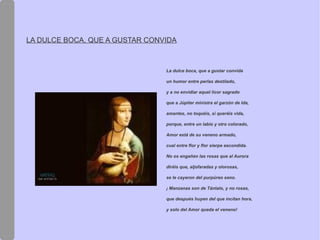 Siguen más ojos que al clavel temprano, 