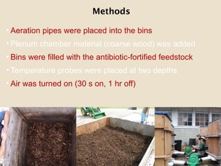 • Aeration pipes were placed into the bins
• Plenum chamber material (coarse wood) was added
• Bins were filled with the antibiotic-fortified feedstock
• Temperature probes were placed at two depths
• Air was turned on (30 s on, 1 hr off)
10
Methods
 