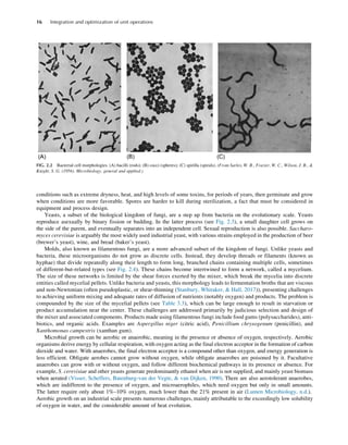 Barry A. Perlmutter - Integration and Optimization of Unit Operations ...