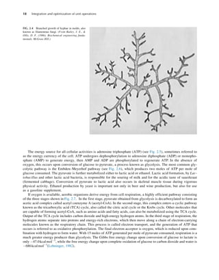 Barry A. Perlmutter - Integration and Optimization of Unit Operations ...