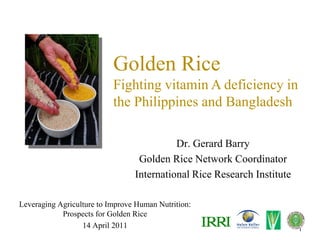 Golden Rice
                           Fighting vitamin A deficiency in
                           the Philippines and Bangladesh

                                           Dr. Gerard Barry
                                  Golden Rice Network Coordinator
                                 International Rice Research Institute

Leveraging Agriculture to Improve Human Nutrition:
            Prospects for Golden Rice
                  14 April 2011                                          1
 