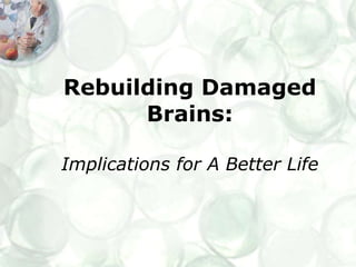 Rebuilding Damaged Brains: Implications for A Better Life 
