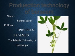 Name :
Samraz qasim
Roll No :
SP18C1BE029
UCA&ES
The Islamia University of
Bahawalpur
 