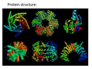 Protein structure:
 