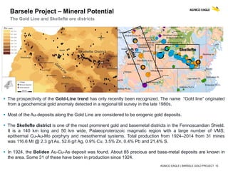 AGNICO EAGLE | BARSELE GOLD PROJECT 10
Barsele Project – Mineral Potential
The Gold Line and Skellefte ore districts
Skellefte
 The prospectivity of the Gold-Line trend has only recently been recognized. The name “Gold line” originated
from a geochemical gold anomaly detected in a regional till survey in the late 1980s.
 Most of the Au-deposits along the Gold Line are considered to be orogenic gold deposits.
 The Skellefte district is one of the most prominent gold and basemetal districts in the Fennoscandian Shield.
It is a 140 km long and 50 km wide, Palaeoproterozoic magmatic region with a large number of VMS,
epithermal Cu-Au-Mo porphyry and mesothermal systems. Total production from 1924–2014 from 31 mines
was 116.6 Mt @ 2.3 g/t Au, 52.6 g/t Ag, 0.9% Cu, 3.5% Zn, 0.4% Pb and 21.4% S.
 In 1924, the Boliden Au-Cu-As deposit was found. About 85 precious and base-metal deposits are known in
the area. Some 31 of these have been in production since 1924.
 
