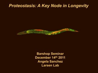 Proteostasis: A Key Node in Longevity
Barshop Seminar
December 14th 2011
Angela Sanchez
Larsen Lab
 