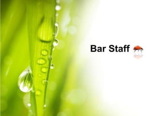 Bar Staff
 