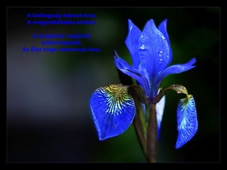 A boldogság édessé tesz , A megpróbáltatás erőssé . A csapások megőrzik emberségedet , Az Élet maga szerénnyé tesz . 