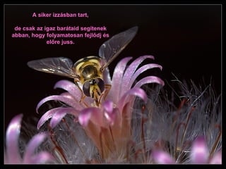 A siker izzásban tart , de csak az igaz barátaid segítenek abban, hogy folyamatosan fejlődj és előre juss. 