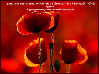 Lehet, hogy nem azonnal nyilvánvaló a számodra  –  de a következők 100%-ig igazak . Egy-egy része jusson eszedbe naponta! 