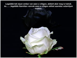 Legalább két olyan ember van ezen a világon, akikért akár meg is halnál . és ……. legalább   tizenöten vannak ezen a világon   akiket szeretsz valamilyen módon . 