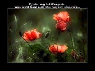Egyetlen vagy és különleges is . Valaki szeret Téged, pedig lehet, hogy nem is ismered őt. . 
