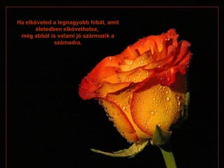 Ha elköveted a legnagyobb hibát, amit életedben elkövethetsz ,  még abból is valami jó származik a számodra . 