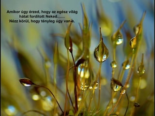 Amikor úgy érzed, hogy az egész világ hátat fordított Neked …… Nézz körül, hogy tényleg úgy van-e . 