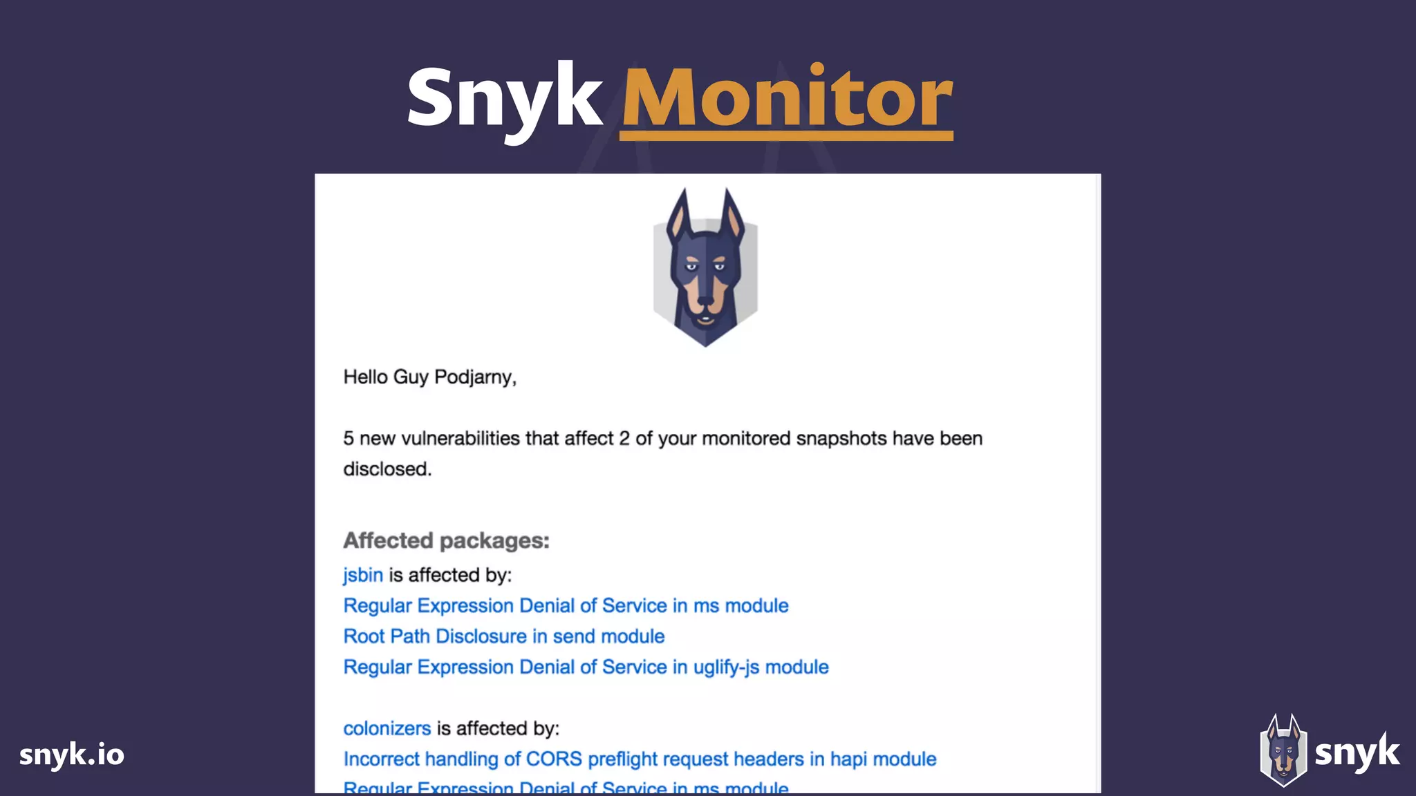 snyk.io
Snyk Monitor
 