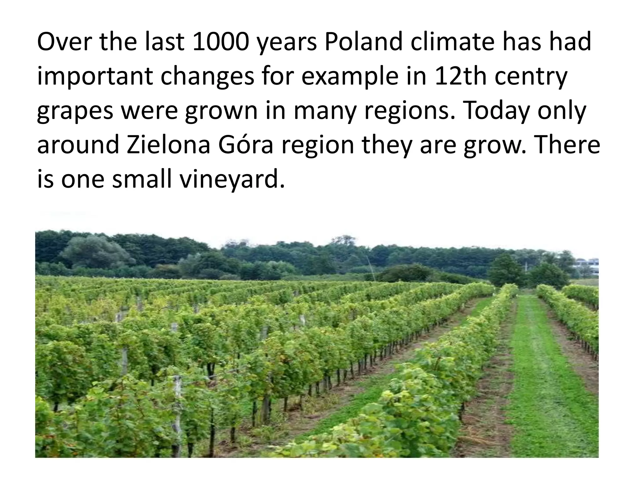 Over the last 1000 years Poland climate has had
important changes for example in 12th centry
grapes were grown in many regions. Today only
around Zielona Góra region they are grow. There
is one small vineyard.

 