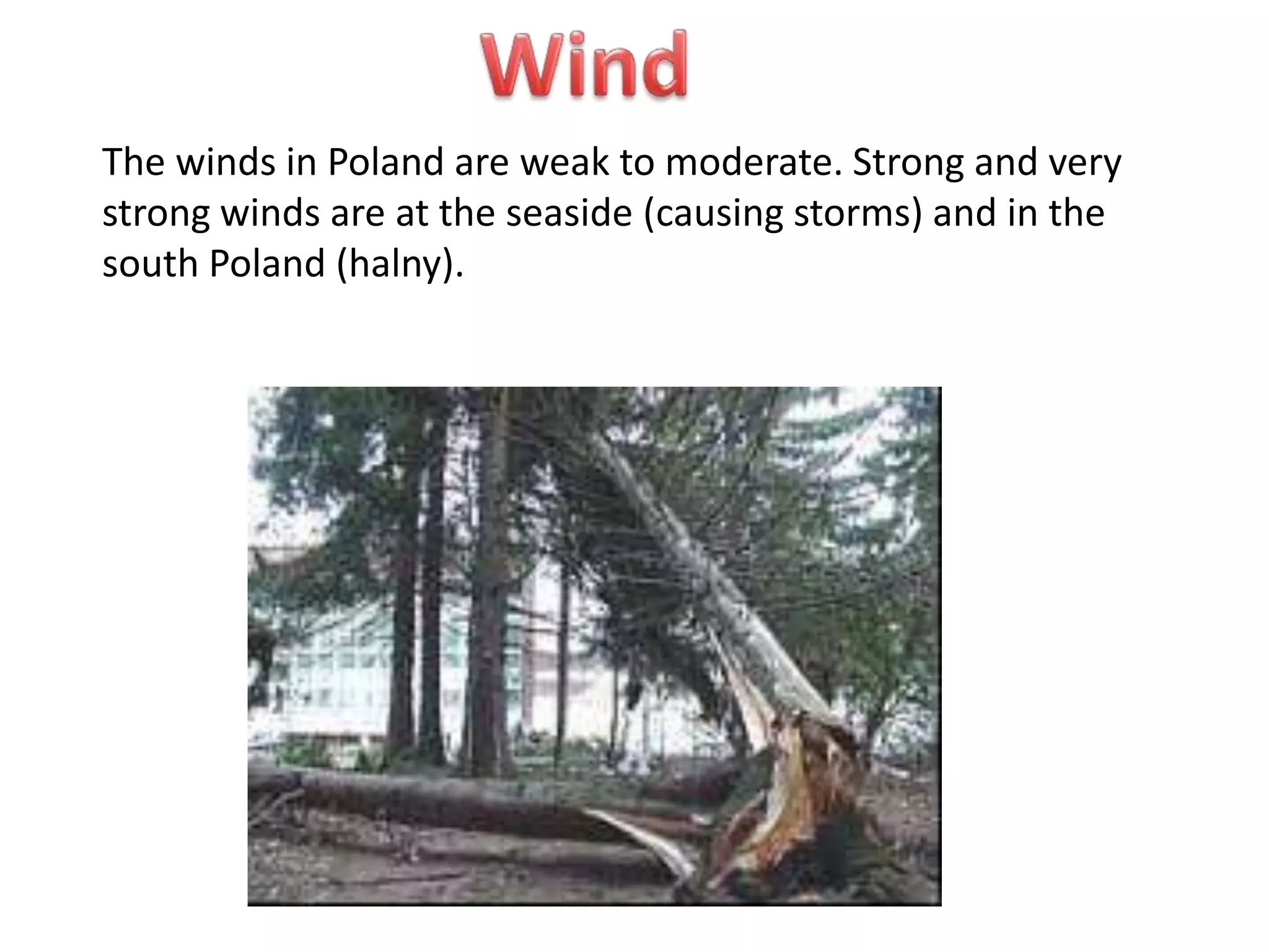 The winds in Poland are weak to moderate. Strong and very
strong winds are at the seaside (causing storms) and in the
south Poland (halny).

 