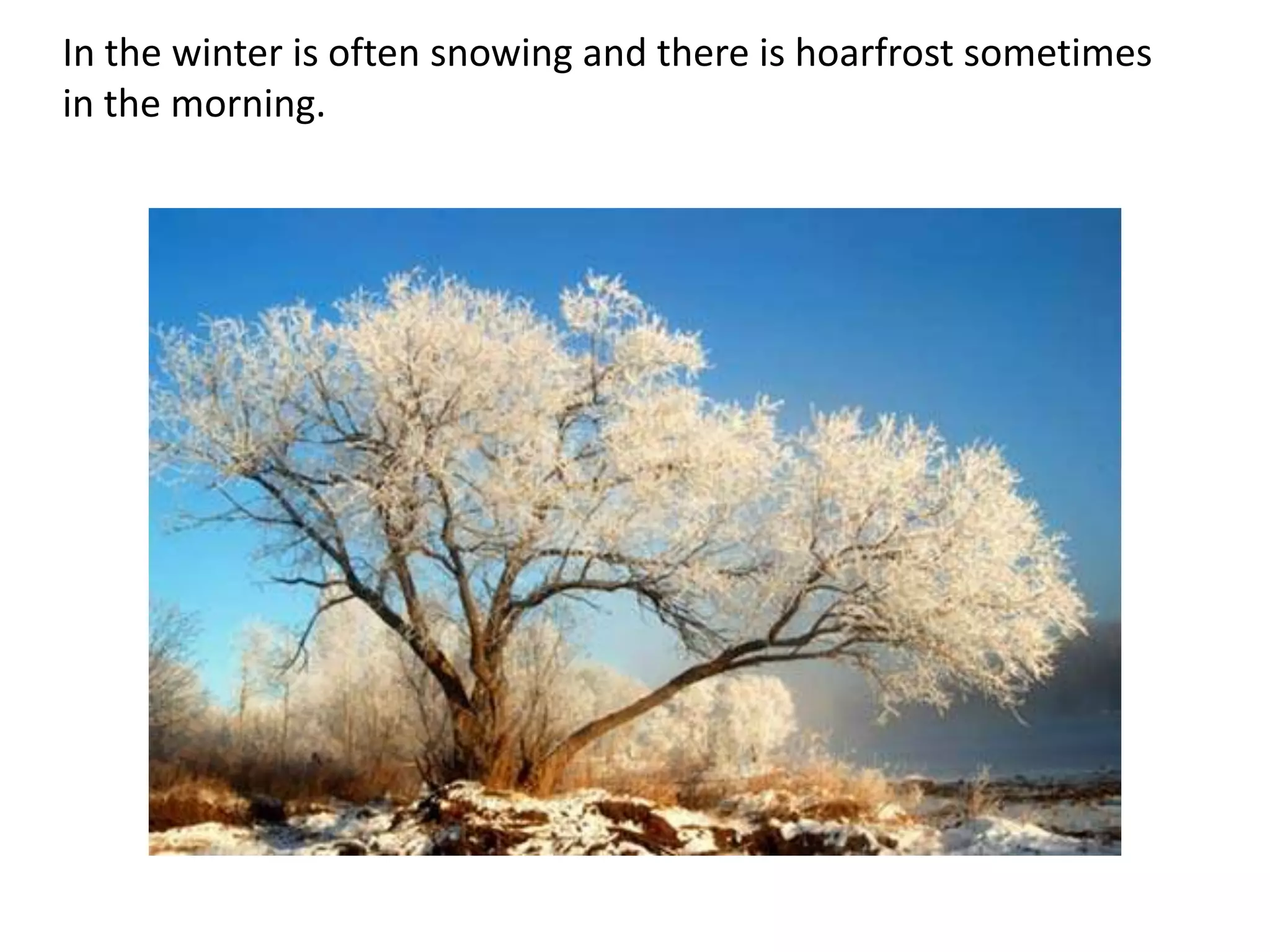 In the winter is often snowing and there is hoarfrost sometimes
in the morning.

 
