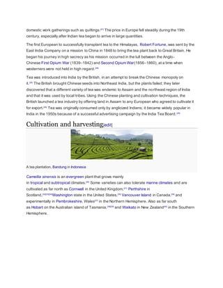 domestic work gatherings such as quiltings.[27]
The price in Europe fell steadily during the 19th
century, especially after Indian tea began to arrive in large quantities.
The first European to successfully transplant tea to the Himalayas, Robert Fortune, was sent by the
East India Company on a mission to China in 1848 to bring the tea plant back to Great Britain. He
began his journey in high secrecy as his mission occurred in the lull between the Anglo-
Chinese First Opium War (1839–1842) and Second Opium War(1856–1860), at a time when
westerners were not held in high regard.[28]
Tea was introduced into India by the British, in an attempt to break the Chinese monopoly on
it.[29]
The British brought Chinese seeds into Northeast India, but the plants failed; they later
discovered that a different variety of tea was endemic to Assam and the northeast region of India
and that it was used by local tribes. Using the Chinese planting and cultivation techniques, the
British launched a tea industry by offering land in Assam to any European who agreed to cultivate it
for export.[29]
Tea was originally consumed only by anglicized Indians; it became widely popular in
India in the 1950s because of a successful advertising campaign by the India Tea Board.[29]
Cultivation and harvesting[edit]
A tea plantation, Bandung in Indonesia
Camellia sinensis is an evergreen plant that grows mainly
in tropical and subtropical climates.[30]
Some varieties can also tolerate marine climates and are
cultivated as far north as Cornwall in the United Kingdom,[31]
Perthshire in
Scotland,[32][33][34]
Washington state in the United States,[35]
Vancouver Island in Canada,[36]
and
experimentally in Pembrokeshire, Wales[37]
in the Northern Hemisphere. Also as far south
as Hobart on the Australian island of Tasmania,[38][39]
and Waikato in New Zealand[40]
in the Southern
Hemisphere.
 