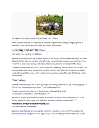 Tea harvest on the eastern shores of the Black Sea, circa 1905–15
Without careful moisture and temperature control during manufacture and packaging, growth of
undesired molds and bacteria may make tea unfit for consumption.
Blending and additives[edit]
Main article: Tea blending and additives
Although single-estate teas are available, almost all tea in bags and most loose tea sold in the West
is blended. Such teas may combine others from the same cultivation area or several different ones.
The aim is to obtain consistency, better taste, higher price, or some combination of the three.
Tea easily retains odors, which can cause problems in processing, transportation, and storage. This
same sensitivity also allows for special processing (such as tea infused with smoke during drying)
and a wide range of scented and flavoured variants, such as bergamot(found in Earl Grey), vanilla,
and spearmint.
Content[edit]
Caffeine constitutes about 3% of tea's dry weight, translating to between 30 mg and 90 mg per 8-oz
(250-ml) cup depending on type, brand,[47]
and brewing method.[48]
Tea also contains small amounts of theobromine and theophylline, which
are stimulants and xanthines similar to caffeine.[49]
Because of modern environmental pollution, fluoride and aluminium also sometimes occur in tea.
Certain types of brick tea made from old leaves and stems have the highest levels.[50][51]
Nutrients and phytochemicals[edit]
Main article: Health effects of tea
Black and green teas contain no essential nutrients in significant content, with the exception of
the dietary mineral, manganese at 0.5 mg per cup or 26% of the Daily Value.[52]
Tea leaves contain
 