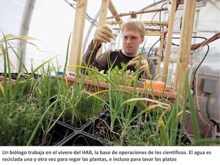                                                                                                                                                                                                                                                                                                                                                                                                                                                                                                 Un  biólogo trabaja en el vivero del HAB, la base de operaciones de los científicos. El agua es reciclada una y otra vez para regar las plantas, e incluso para lavar los platos  