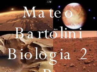 Mateo Bartolini Biologia 2 B 