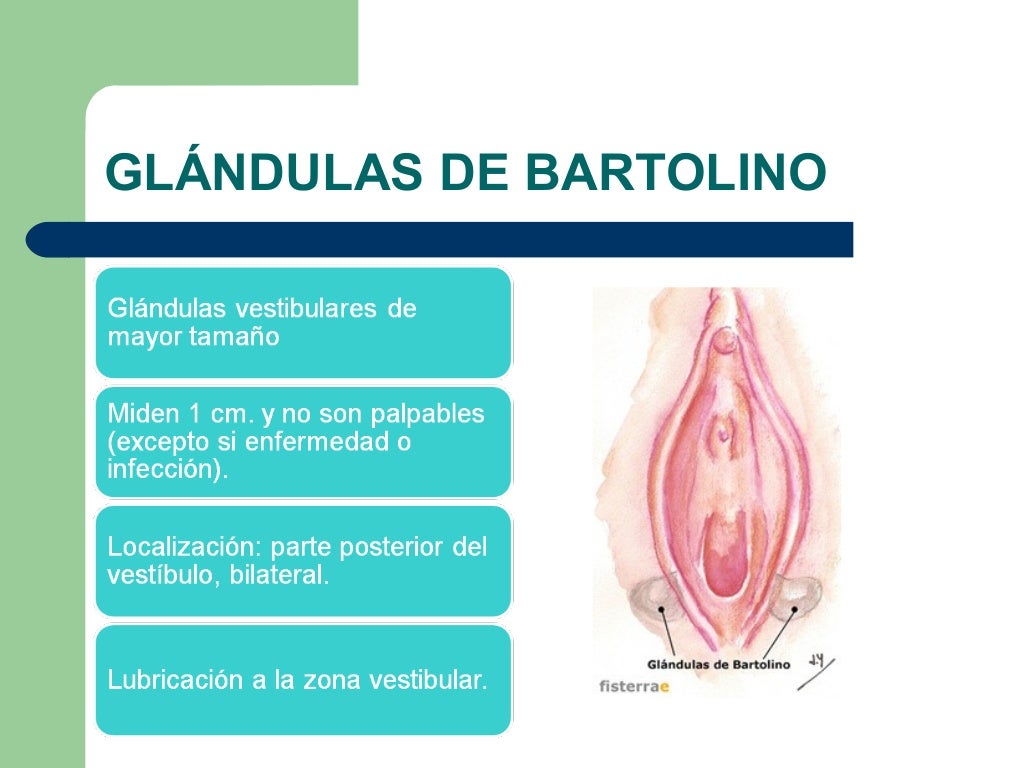 Bartolinitis