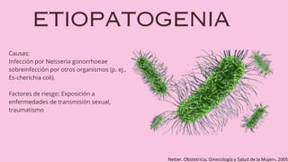 Causas:
Infección por Neisseria gonorrhoeae
sobreinfección por otros organismos (p. ej.,
Es-cherichia coli).
Factores de riesgo: Exposición a
enfermedades de transmisión sexual,
traumatismo
Netter. Obstetricia, Ginecología y Salud de la Mujer», 2005
 