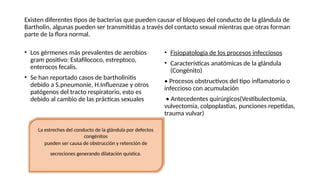 Existen diferentes tipos de bacterias que pueden causar el bloqueo del conducto de la glándula de
Bartholin, algunas pueden ser transmitidas a través del contacto sexual mientras que otras forman
parte de la flora normal.
• Los gérmenes más prevalentes de aerobios
gram positivo: Estafilococo, estreptoco,
enterocos fecalis.
• Se han reportado casos de bartholinitis
debido a S.pneumonie, H.Influenzae y otros
patógenos del tracto respiratorio, esto es
debido al cambio de las prácticas sexuales
• Fisiopatología de los procesos infecciosos
• Características anatómicas de la glándula
(Congénito)
• Procesos obstructivos del tipo inflamatorio o
infeccioso con acumulación
• Antecedentes quirúrgicos(Vestibulectomia,
vulvectomia, colpoplastias, punciones repetidas,
trauma vulvar)
La estreches del conducto de la glándula por defectos
congénitos
pueden ser causa de obstrucción y retención de
secreciones generando dilatación quística.
 