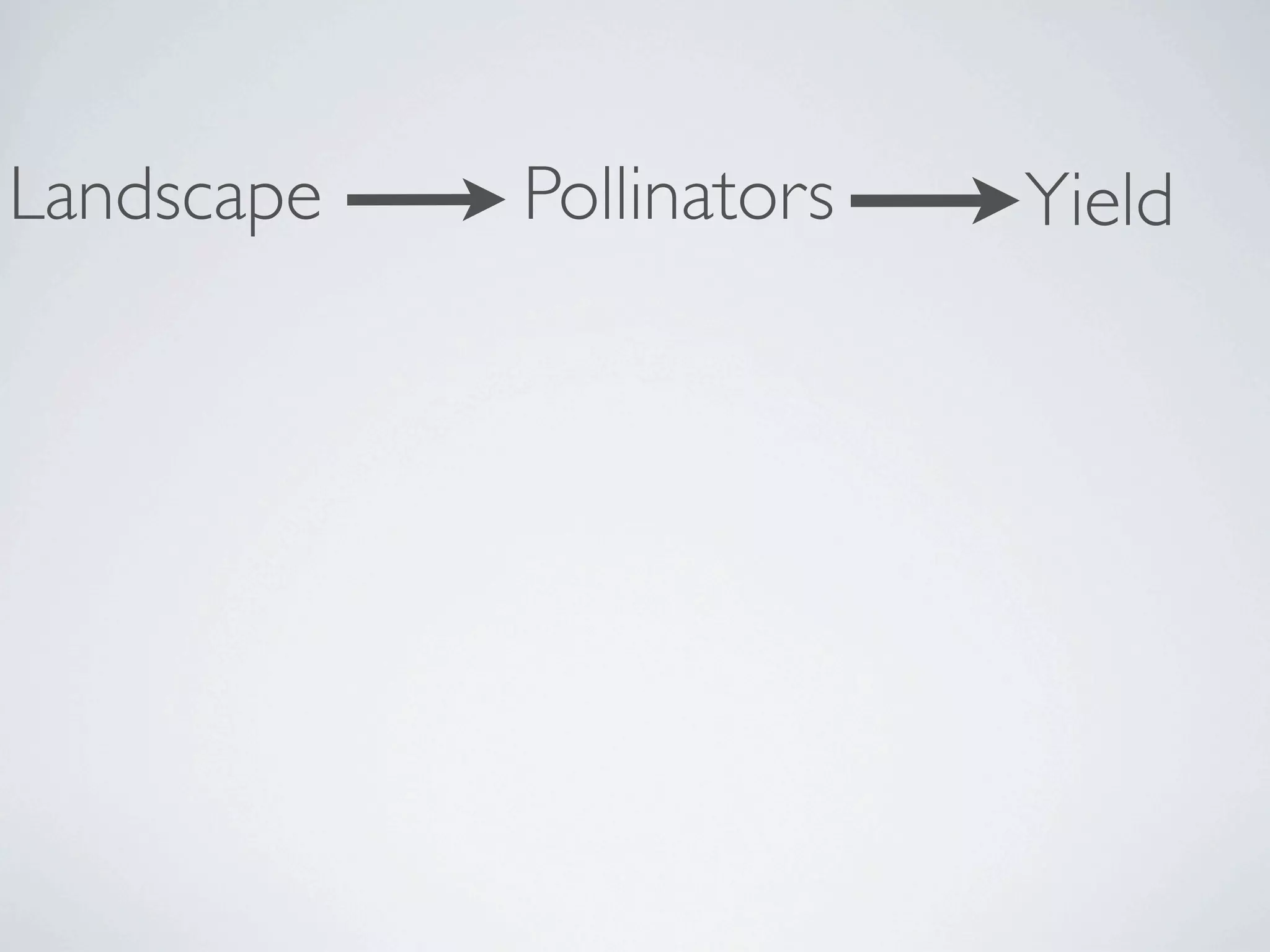 Landscape   Pollinators   Yield
 
