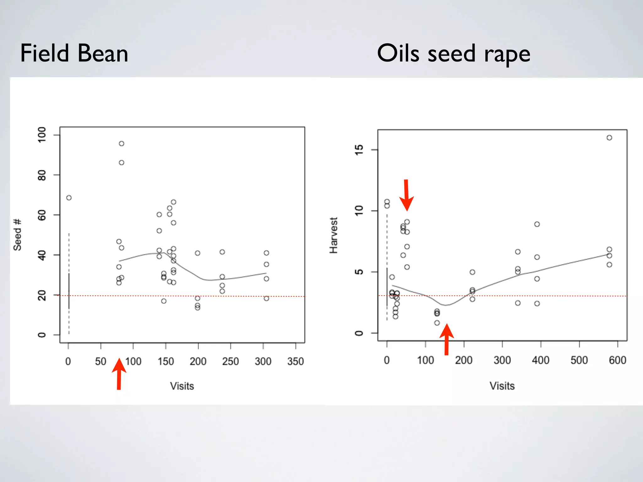 Field Bean   Oils seed rape
 
