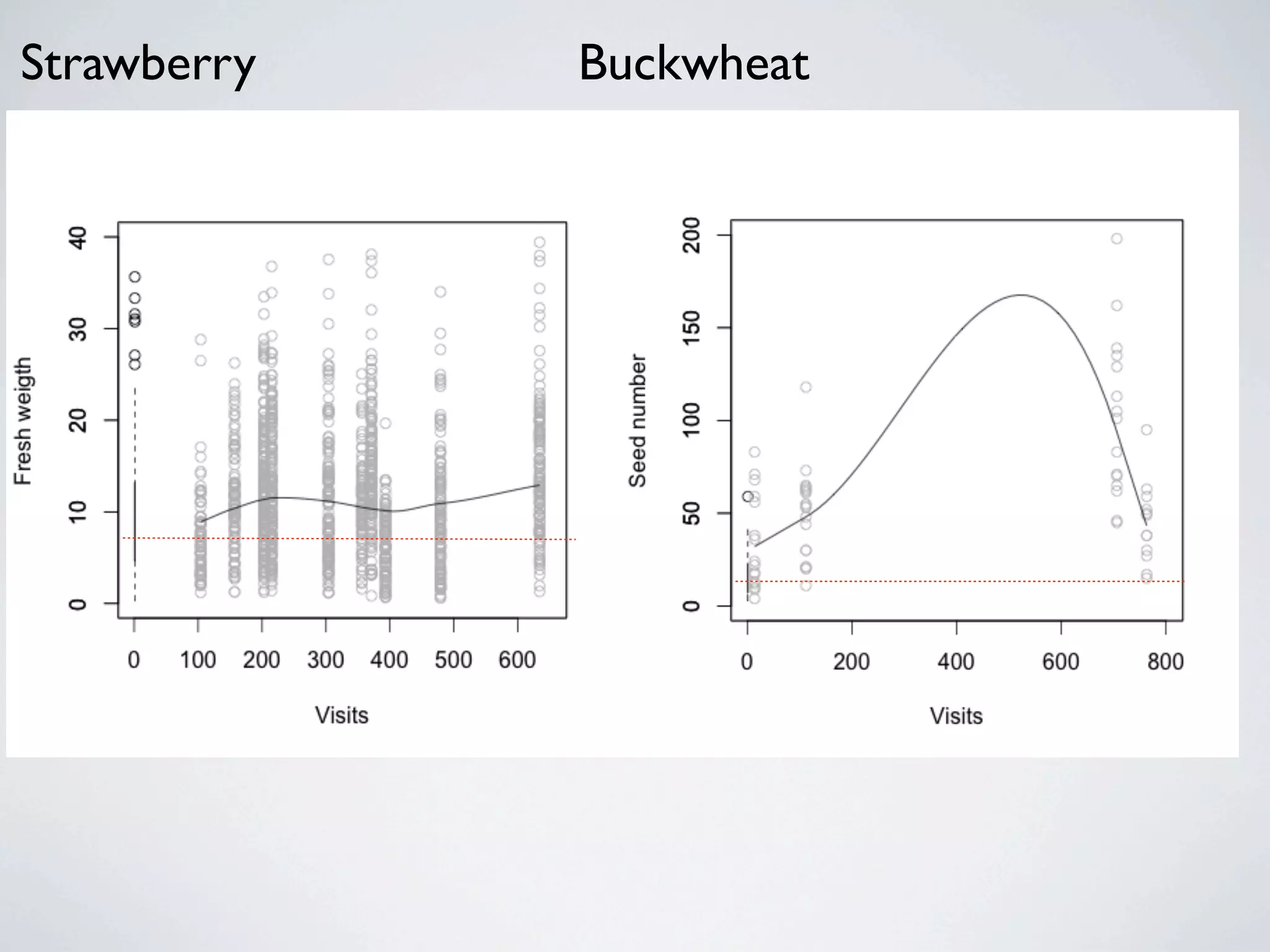 Strawberry   Buckwheat
 