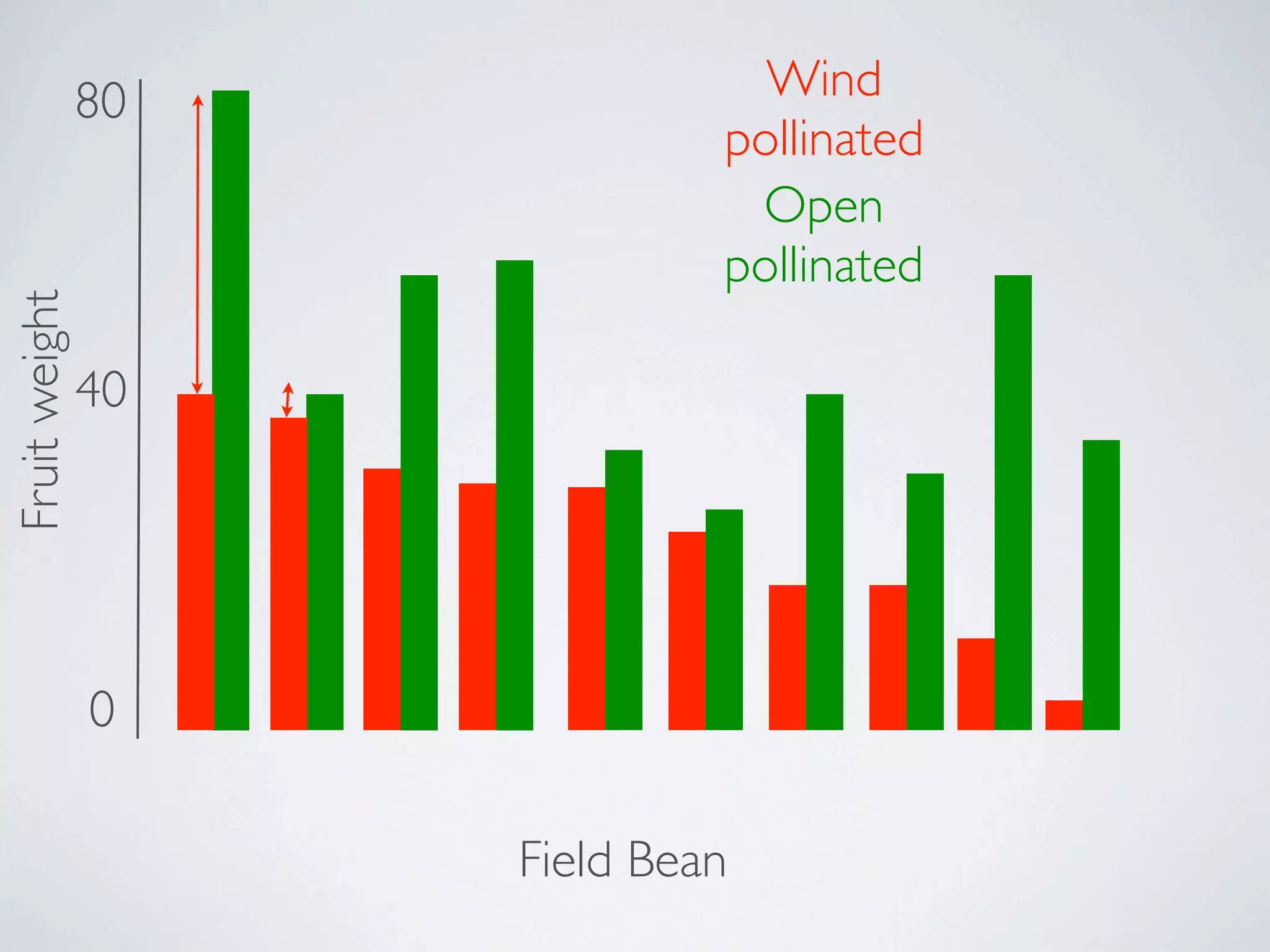 80              Wind
                             pollinated
                              Open
                             pollinated
Fruit weight




               40




               0

                    Field Bean
 