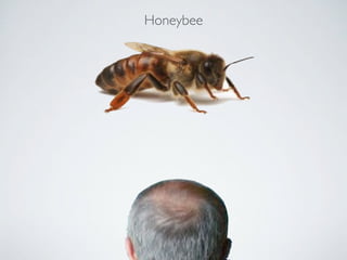 Honeybee




Honey
 