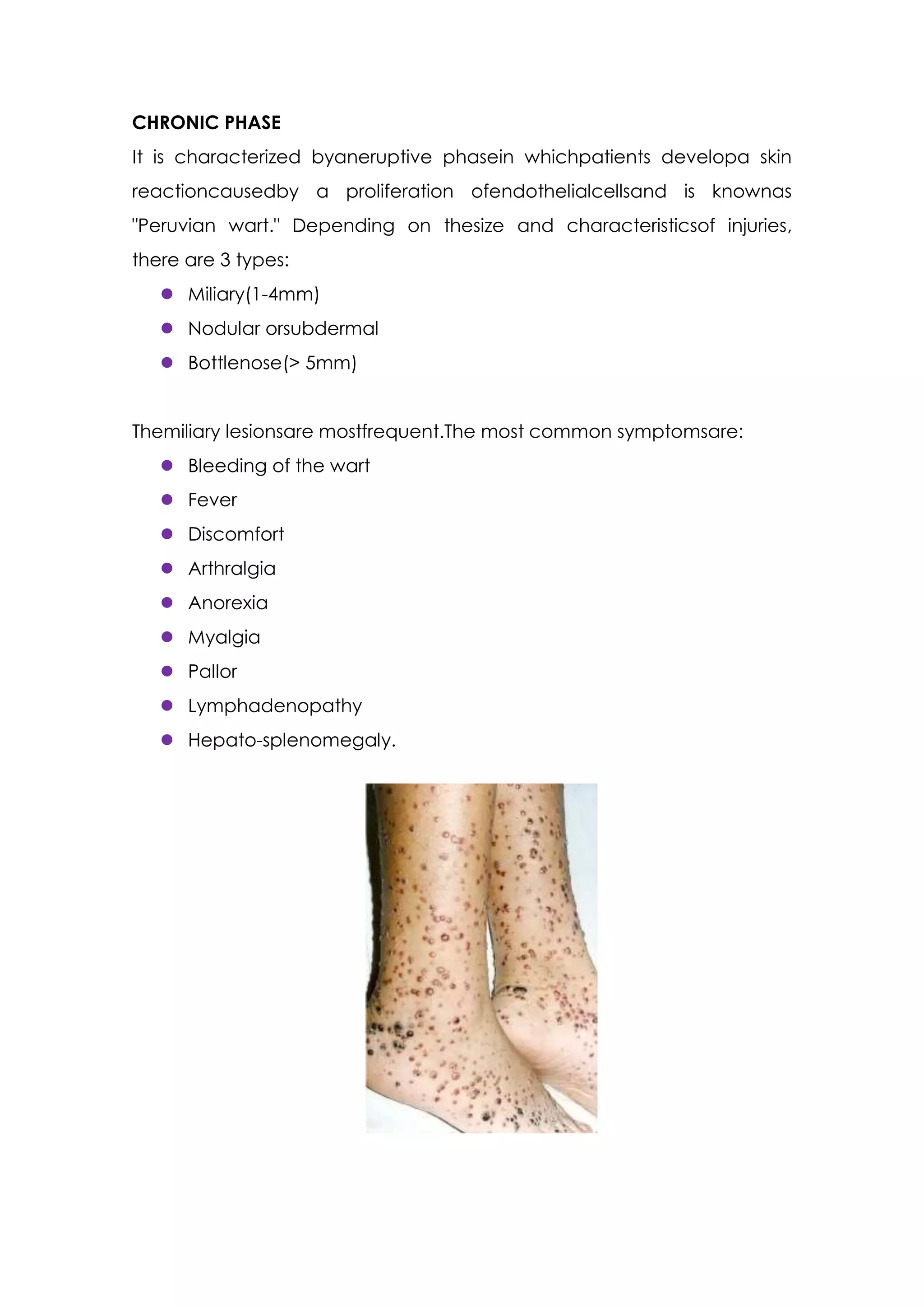 CHRONIC PHASE
It is characterized byaneruptive phasein whichpatients developa skin
reactioncausedby a proliferation ofendothelialcellsand is knownas
"Peruvian wart." Depending on thesize and characteristicsof injuries,
there are 3 types:
    Miliary(1-4mm)
    Nodular orsubdermal
    Bottlenose(> 5mm)


Themiliary lesionsare mostfrequent.The most common symptomsare:
    Bleeding of the wart
    Fever
    Discomfort
    Arthralgia
    Anorexia
    Myalgia
    Pallor
    Lymphadenopathy
    Hepato-splenomegaly.
 