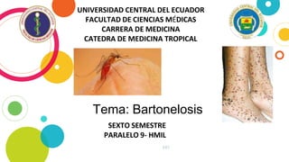 SEXTO SEMESTRE
PARALELO 9- HMIL
247
UNIVERSIDAD CENTRAL DEL ECUADOR
FACULTAD DE CIENCIAS MÉDICAS
CARRERA DE MEDICINA
CATEDRA DE MEDICINA TROPICAL
Tema: Bartonelosis
 