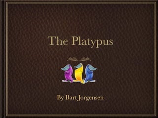 The Platypus



 By Bart Jorgensen
 