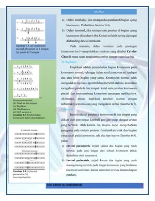 buku tentang materi mutasi | PDF