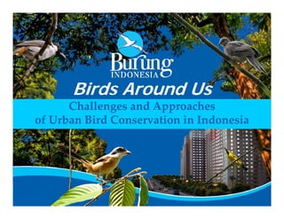 Birds Around Us
      Challenges and Approaches 
of Urban Bird Conservation in Indonesia
of Urban Bird Conservation in Indonesia
 
